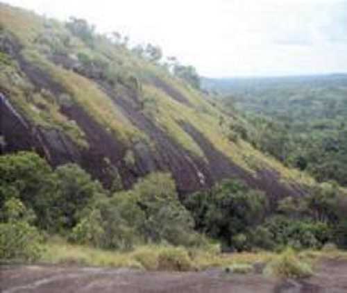 biodiversite_des_inselbergs_et_montagnes